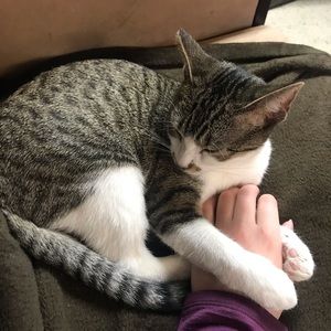 Meet your Posher, Hannah